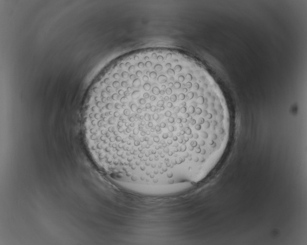 X0000115811212200912241907