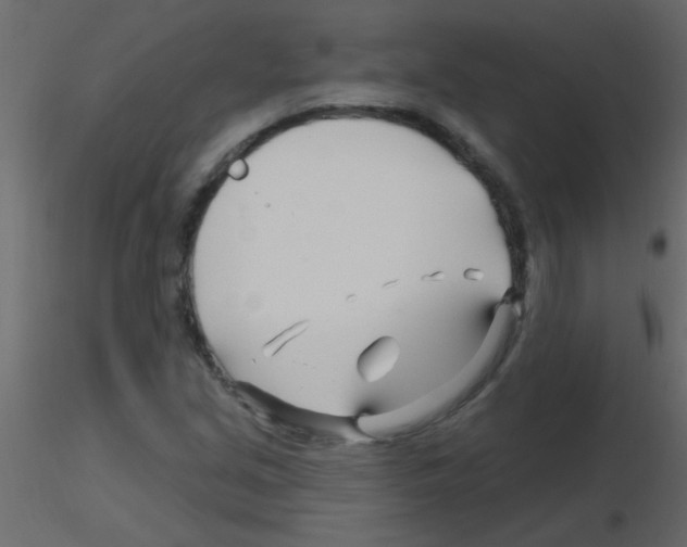 X0000115811213200912241907