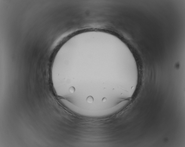 X0000115811214200912241907