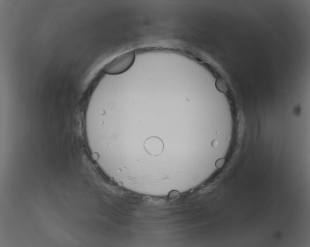 X0000115811215200912241907