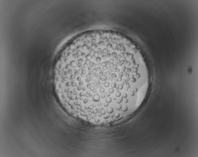 X0000115811216200912241907