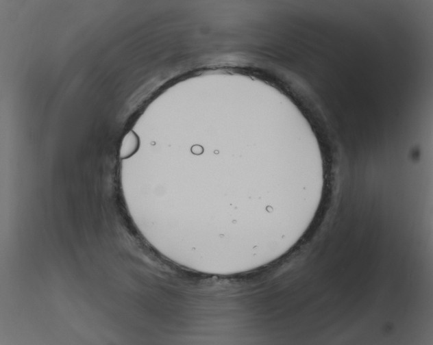 X0000115811217200912241907