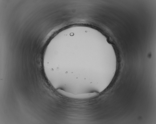 X0000115811218200912241907