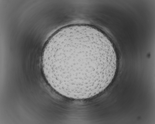 X0000115811220200912241907