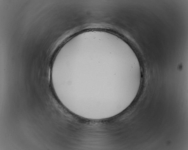X0000115811221200912241907