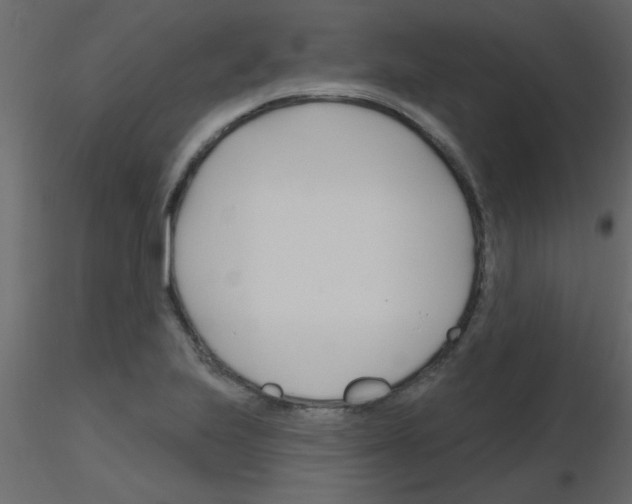 X0000115811223200912241907