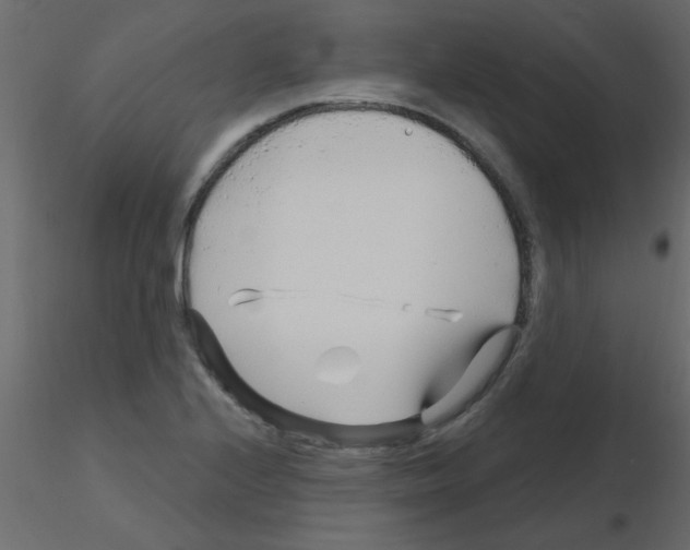 X0000115811224200912241907
