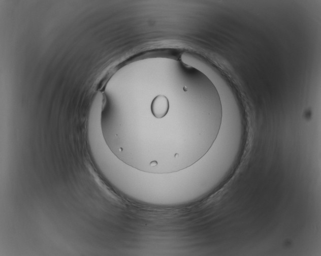 X0000115811225200912241907