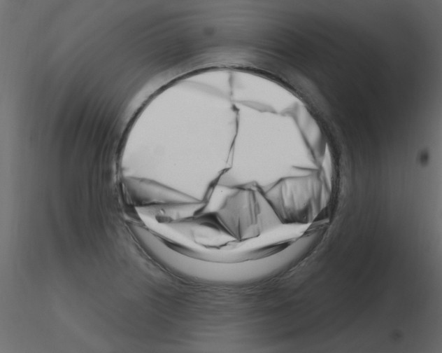 X0000115811226200912241907