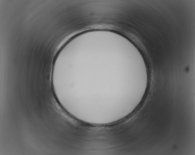 X0000115811228200912241907