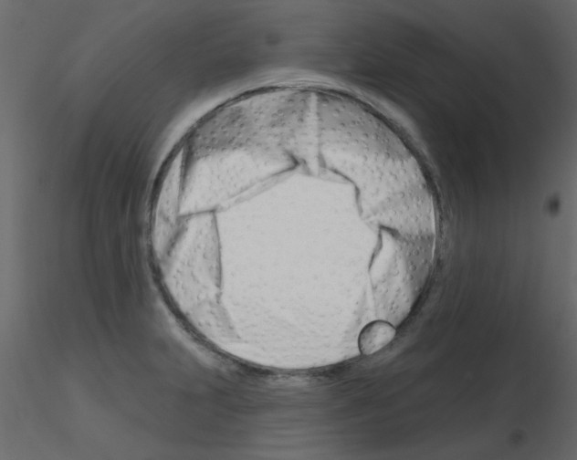 X0000115811231200912241907