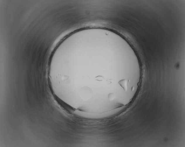 X0000115811232200912241907