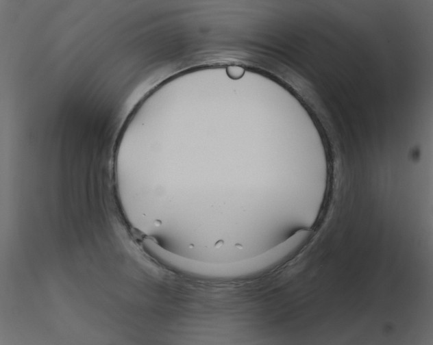 X0000115811234200912241907