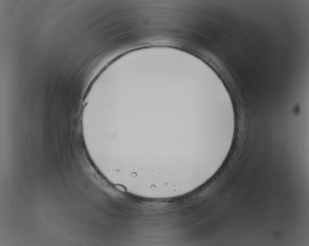 X0000115811236200912241907