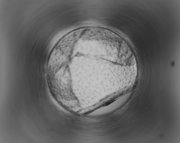 X0000115811239200912241907