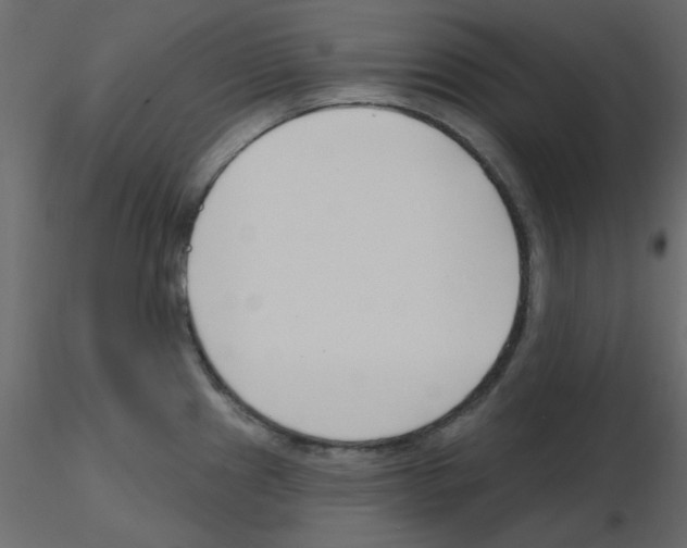 X0000115811241200912241907
