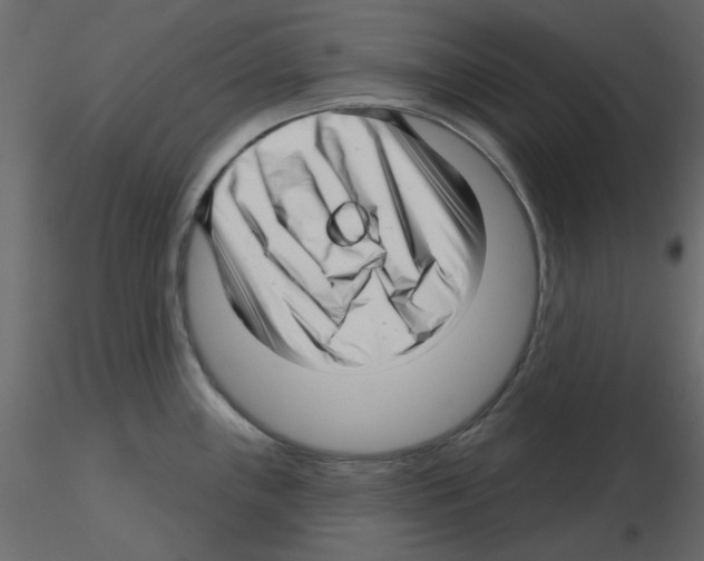 X0000115811243200912241907