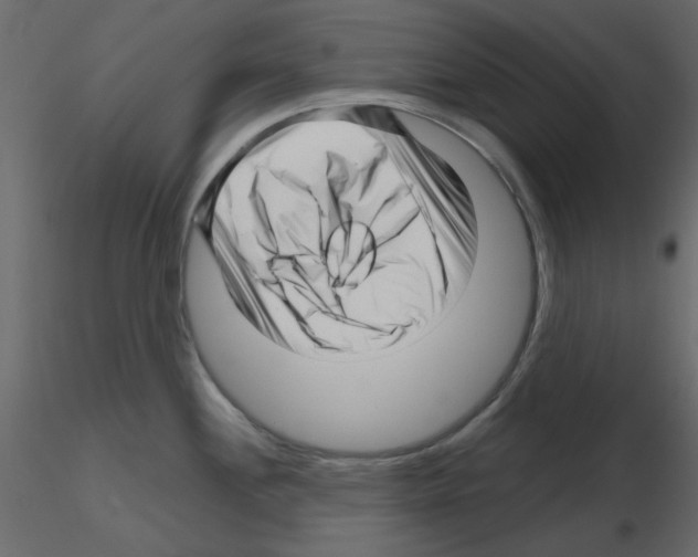 X0000115811244200912241907