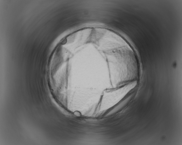 X0000115811245200912241907