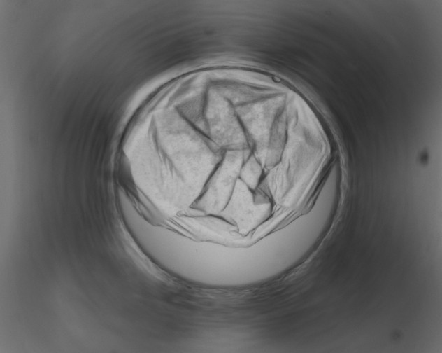 X0000115811246200912241907