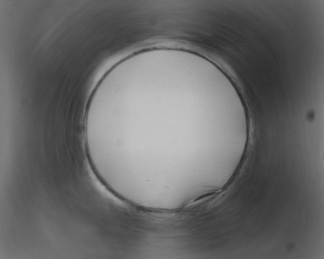 X0000115811247200912241907
