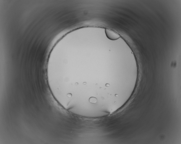 X0000115811248200912241907