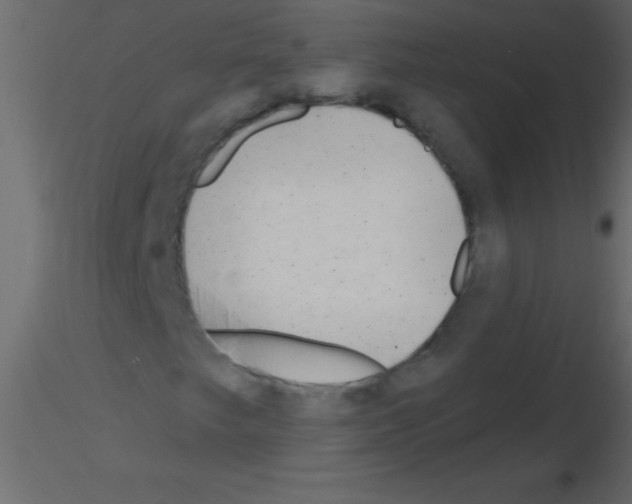 X0000115811249200912241907