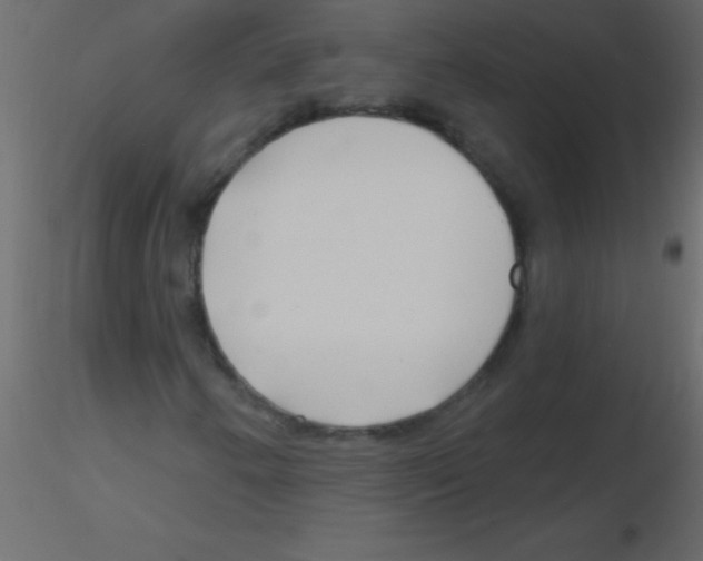 X0000115811250200912241906
