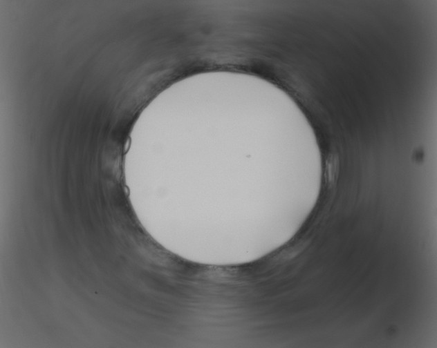 X0000115811251200912241906