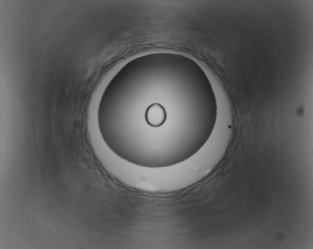 X0000115811253200912241906