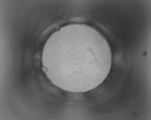 X0000115811254200912241906