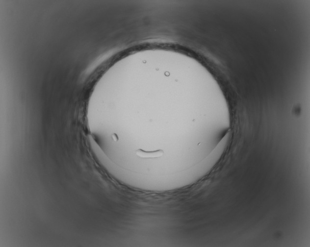 X0000115811255200912241906
