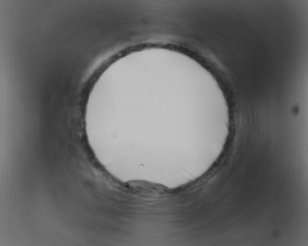 X0000115811256200912241906