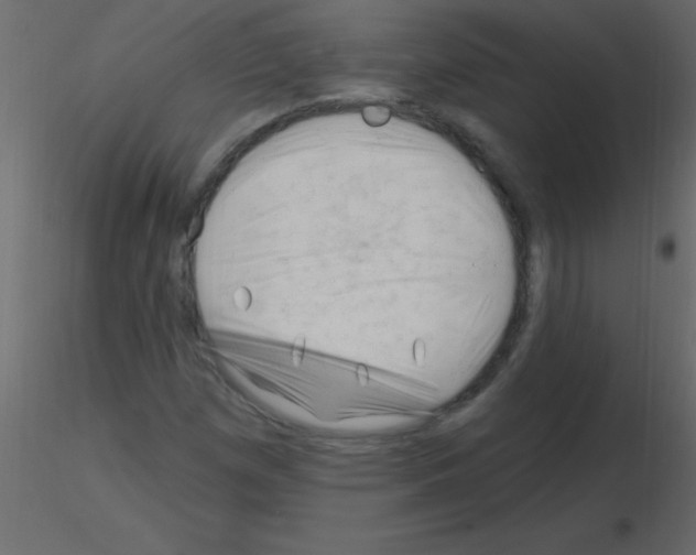 X0000115811257200912241906