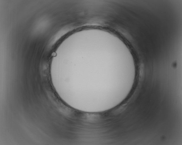 X0000115811258200912241906