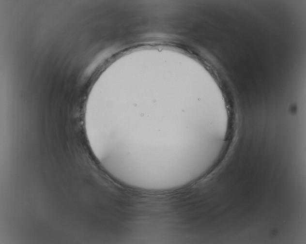 X0000115811259200912241906
