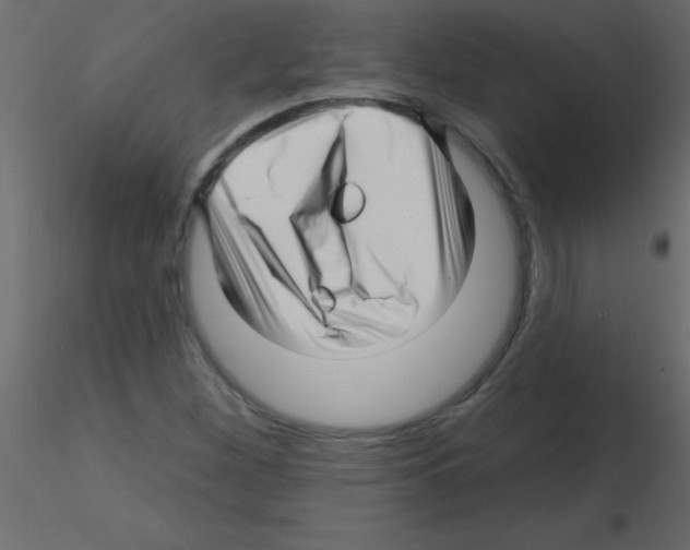X0000115811260200912241906