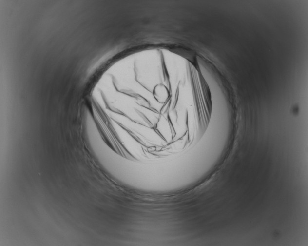 X0000115811261200912241906