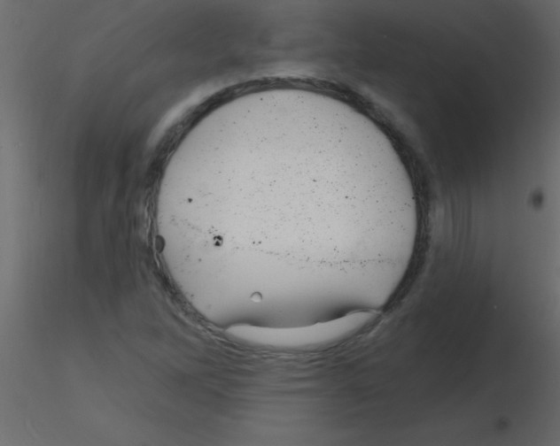 X0000115811262200912241906
