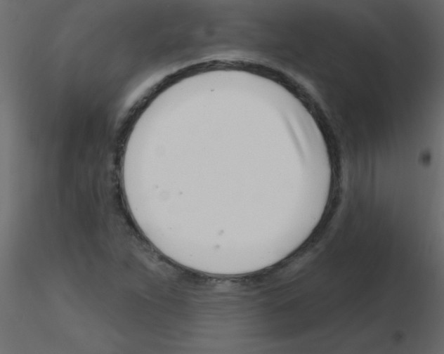 X0000115811263200912241906