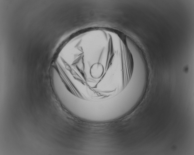 X0000115811264200912241906