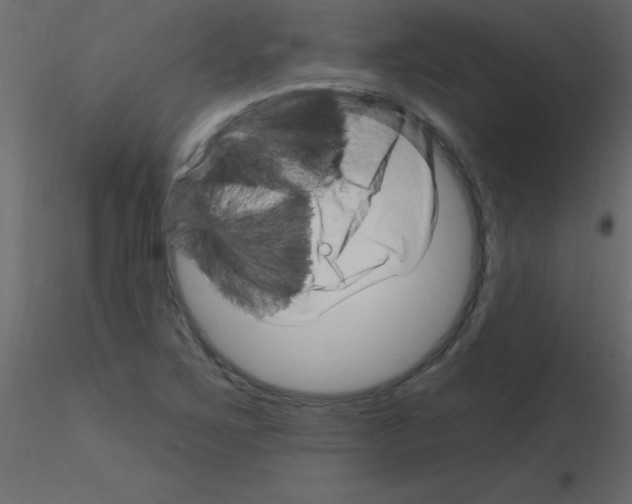 X0000115811267200912241906
