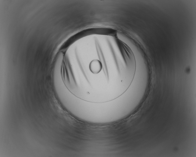X0000115811268200912241906
