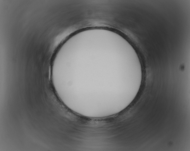 X0000115811269200912241906