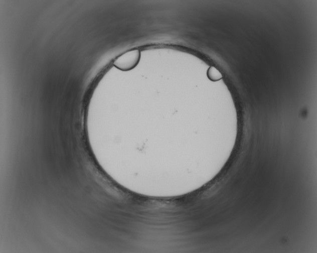 X0000115811270200912241906