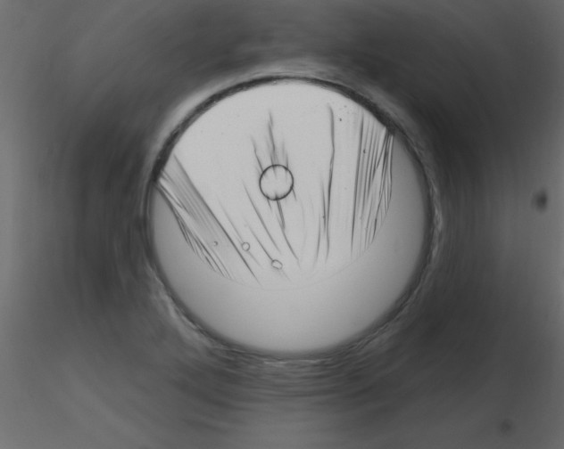 X0000115811272200912241906