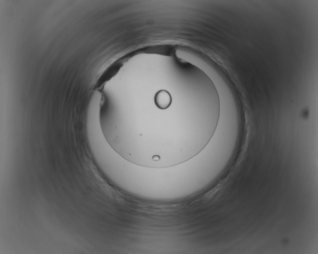 X0000115811273200912241906