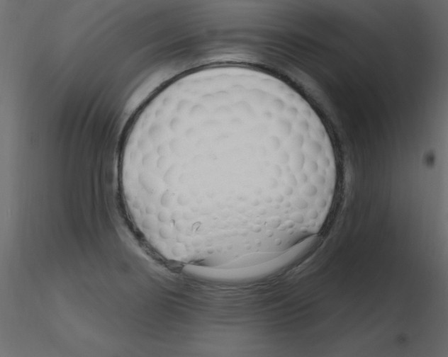 X0000115811274200912241906