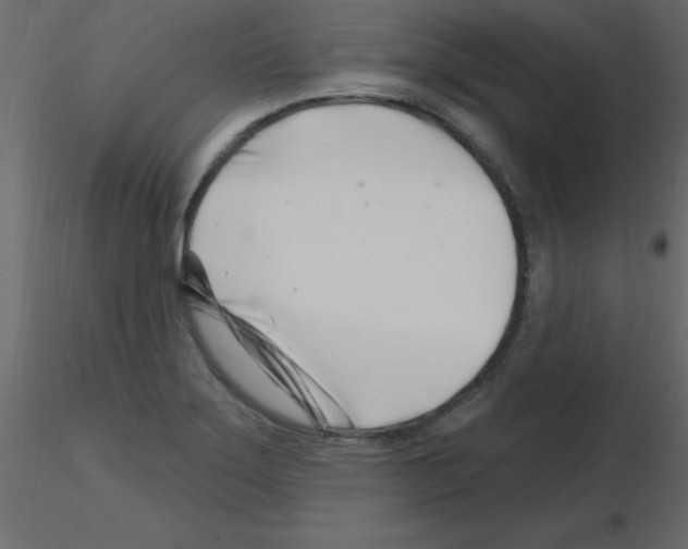 X0000115811275200912241906