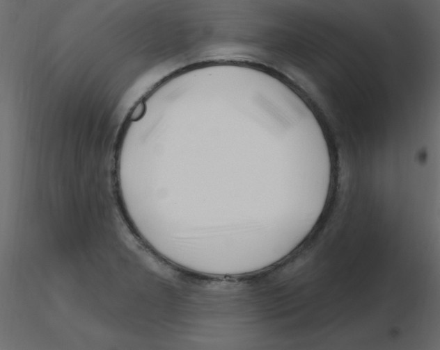 X0000115811277200912241906
